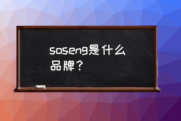 蓝牙骨传导游泳耳机品牌排行榜 soseng是什么品牌？