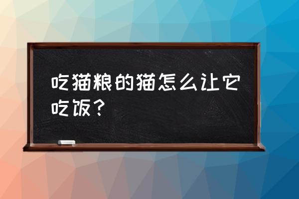 怎么才能让猫吃猫粮呢 吃猫粮的猫怎么让它吃饭？