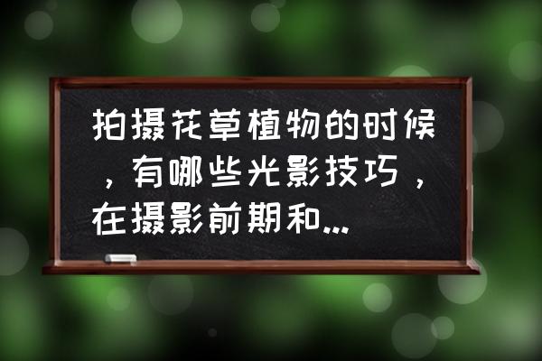 摄影技巧口诀56个 拍摄花草植物的时候，有哪些光影技巧，在摄影前期和后期上要注意啥？