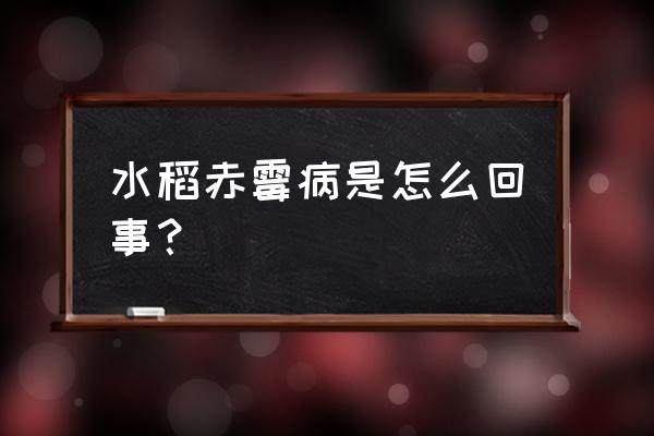 赤霉病的症状和表现 水稻赤霉病是怎么回事？