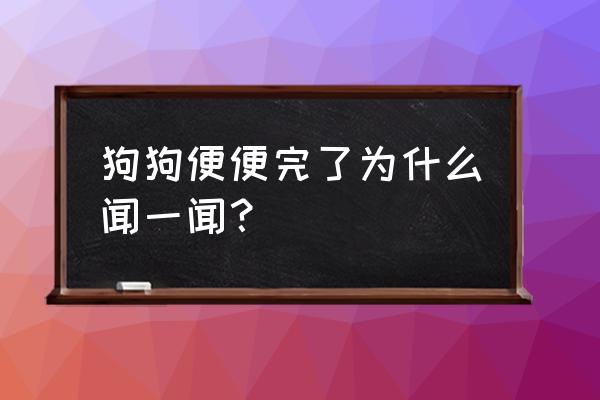 狗狗大便哪种正常 狗狗便便完了为什么闻一闻？