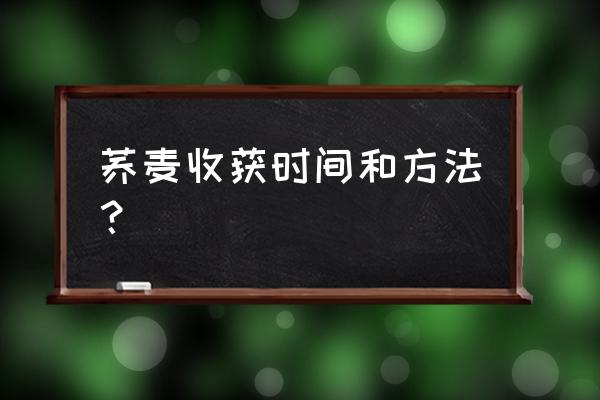 荞麦怎么种植效果最好 荞麦收获时间和方法？