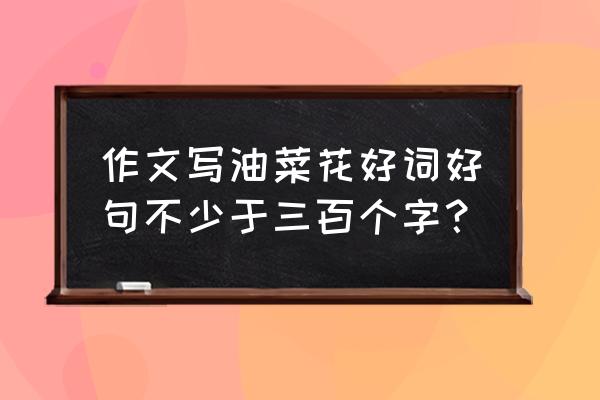 油菜花要凋谢了发朋友圈的句子 作文写油菜花好词好句不少于三百个字？