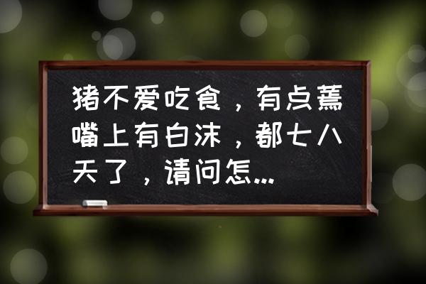 嘴角白泡泡怎么回事 猪不爱吃食，有点蔫嘴上有白沫，都七八天了，请问怎么回事谢谢？