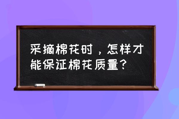 人工取棉籽的方法 采摘棉花时，怎样才能保证棉花质量？