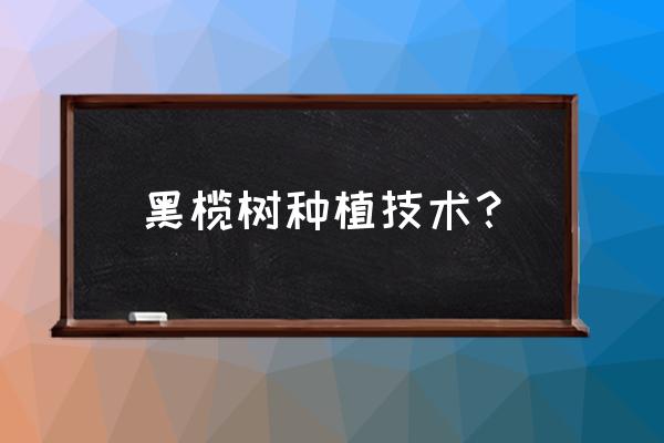 橄榄花常见病虫害及防治方法 黑榄树种植技术？