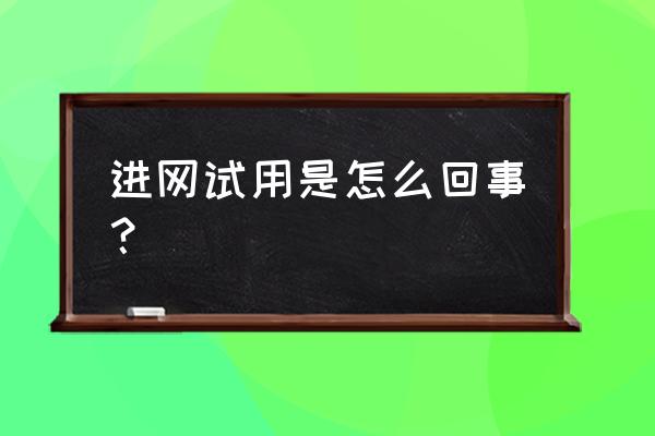 手机背后的进网试用是什么意思 进网试用是怎么回事？