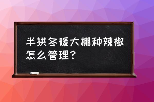 大棚蔬菜养根方法 半拱冬暖大棚种辣椒怎么管理？