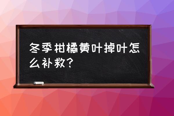 蚂蚁森林橘子黄叶今天答题答案 冬季柑橘黄叶掉叶怎么补救？