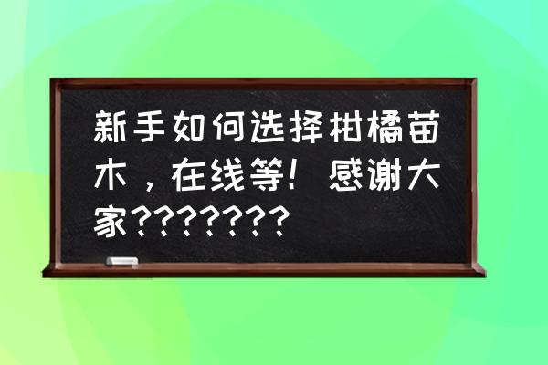 枳壳树的主要病害 新手如何选择柑橘苗木，在线等！感谢大家??????？