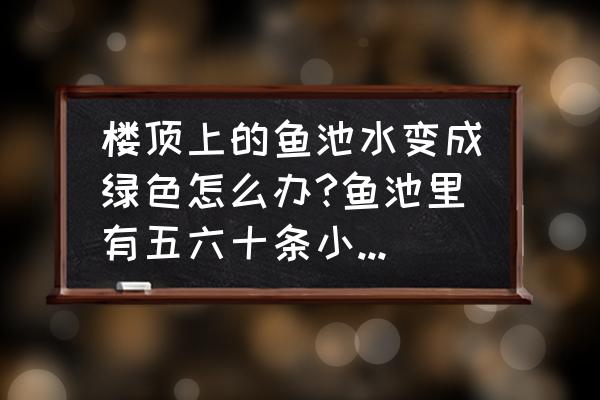 鱼池水变绿了怎么清除 楼顶上的鱼池水变成绿色怎么办?鱼池里有五六十条小鱼。池水是死水？