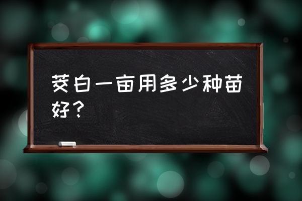 茭白的栽培时间及技术条件 茭白一亩用多少种苗好？