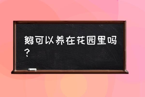 适合北方别墅院子种菜设计实景图 鹅可以养在花园里吗？