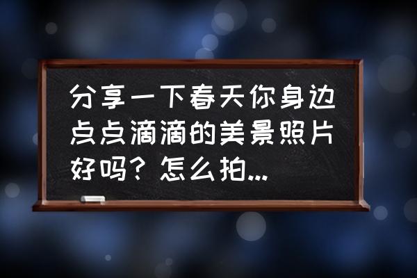 郁金香马克笔画 分享一下春天你身边点点滴滴的美景照片好吗？怎么拍摄好看？