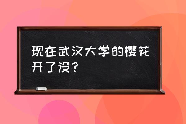 武汉大学樱花预约公众号 现在武汉大学的樱花开了没？