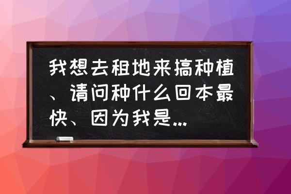 农村土地变现最快方法 我想去租地来搞种植、请问种什么回本最快、因为我是贷款来做？