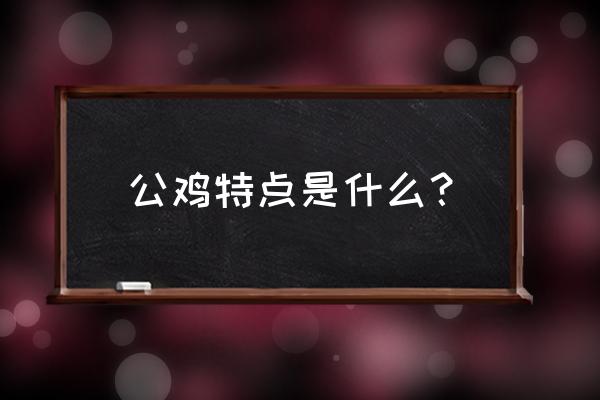 小鸡的生活习性简短 公鸡特点是什么？