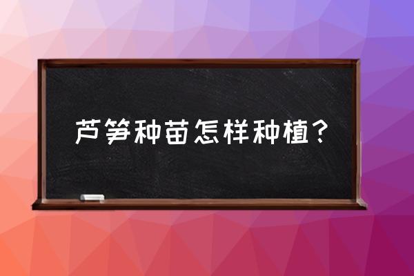 芦笋怎么上肥料 芦笋种苗怎样种植？