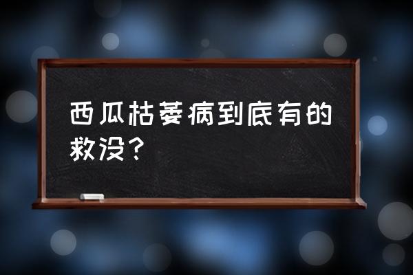 西瓜秧子枯萎怎么补救 西瓜枯萎病到底有的救没？