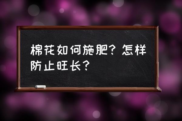 沙土地棉花管理 棉花如何施肥？怎样防止旺长？