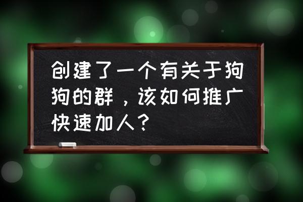 qq怎么弄自己的小狗宠物 创建了一个有关于狗狗的群，该如何推广快速加人？