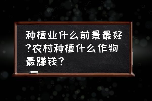 农村种植哪种果树收益最大 种植业什么前景最好?农村种植什么作物最赚钱？