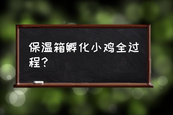 如何用热水孵化小鸡 保温箱孵化小鸡全过程？