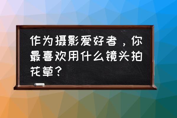 适合拍摄的花卉有哪些 作为摄影爱好者，你最喜欢用什么镜头拍花草？