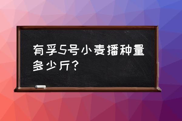 小麦播种量多少最佳 有孚5号小麦播种量多少斤？