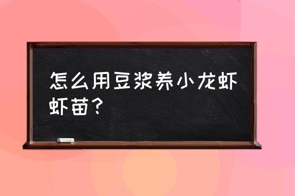 小龙虾苗吃什么长的快 怎么用豆浆养小龙虾虾苗？