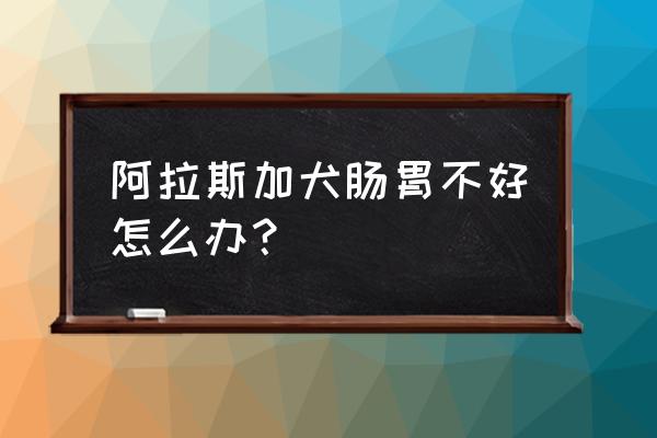 养阿拉斯加必备东西 阿拉斯加犬肠胃不好怎么办？