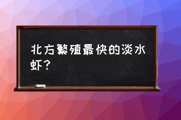 什么观赏虾繁殖最快 北方繁殖最快的淡水虾？