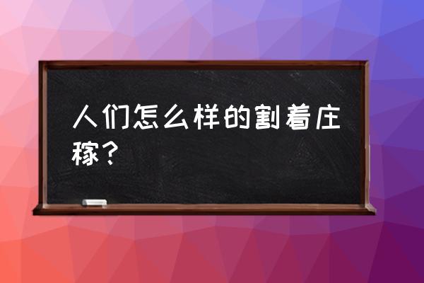 人工大豆收割的步骤 人们怎么样的割着庄稼？