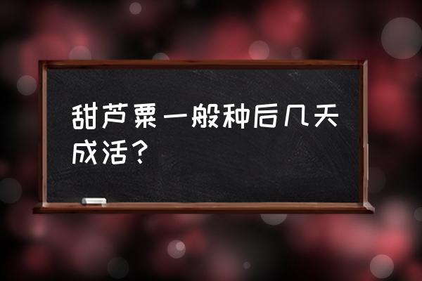 甜高粱种植最佳时间 甜芦粟一般种后几天成活？