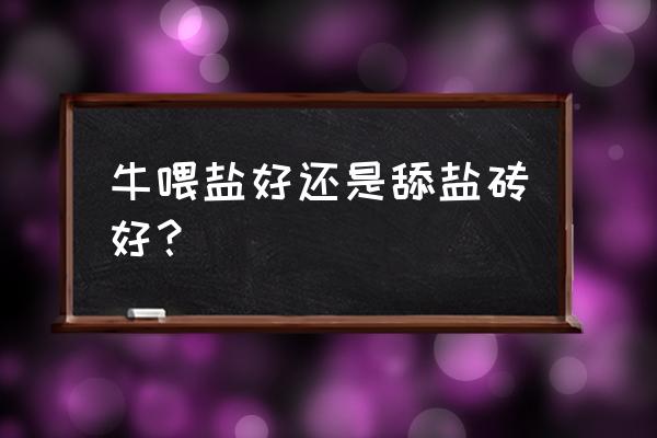 兽用b超在现代养牛中的应用 牛喂盐好还是舔盐砖好？