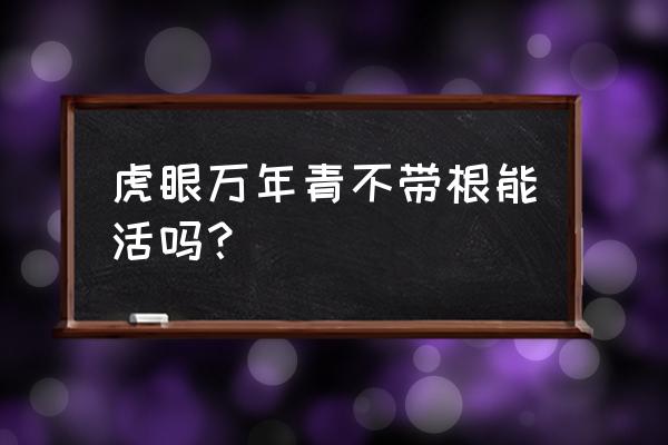 虎眼万年青要种多长时间才能食用 虎眼万年青不带根能活吗？