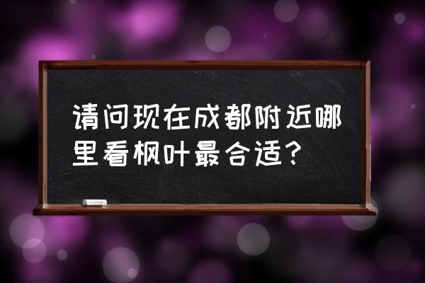 这天气成都哪里最好耍 请问现在成都附近哪里看枫叶最合适？