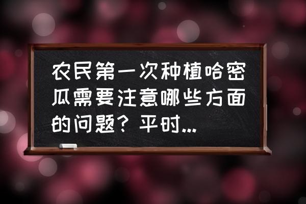 经常吃哈密瓜有什么好处与坏处 农民第一次种植哈密瓜需要注意哪些方面的问题？平时怎么科学管理？