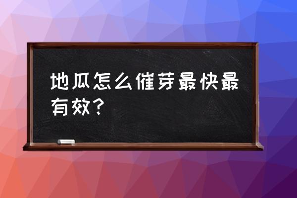 红薯芽怎么催芽最快 地瓜怎么催芽最快最有效？