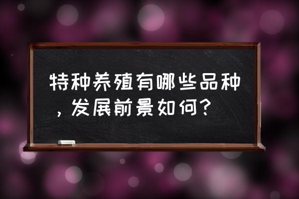 蚂蚁森林里面的褐马鸡是怎么弄的 特种养殖有哪些品种，发展前景如何？