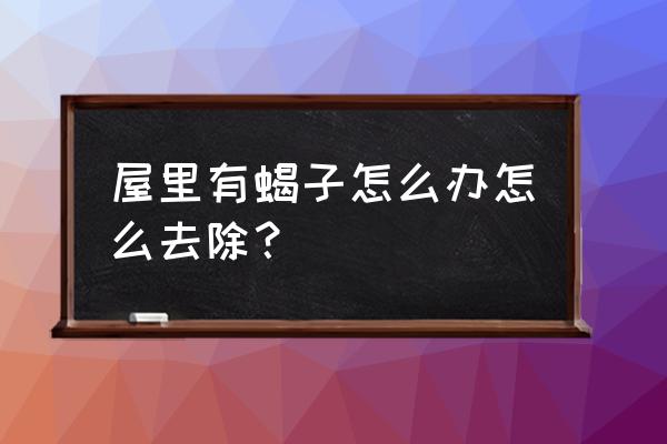 室内养蝎子怎么养 屋里有蝎子怎么办怎么去除？