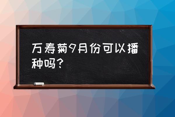 万寿菊的种植时间和种植方法 万寿菊9月份可以播种吗？