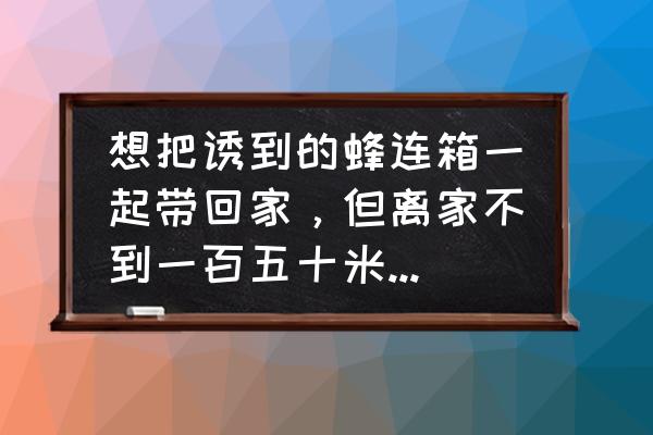 100多只的蜂群多久才能发展起来 想把诱到的蜂连箱一起带回家，但离家不到一百五十米，蜜蜂会飞回原来的地方吗？