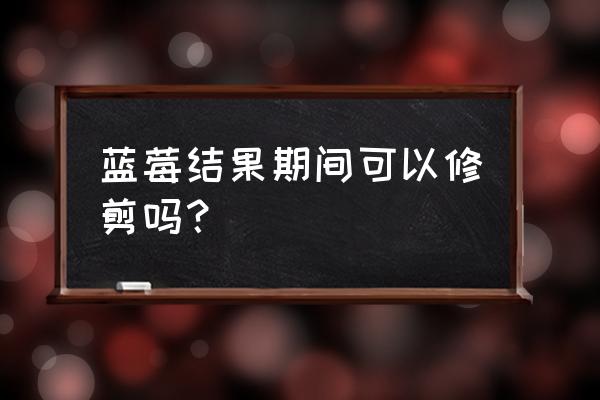 修剪蓝莓口诀 蓝莓结果期间可以修剪吗？