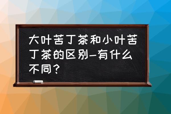 苦丁茶大叶和小叶哪个效果好 大叶苦丁茶和小叶苦丁茶的区别-有什么不同？