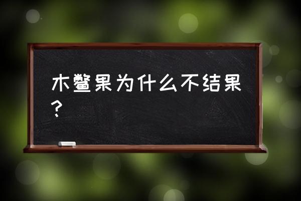 木鳖果汤配方 木鳖果为什么不结果？