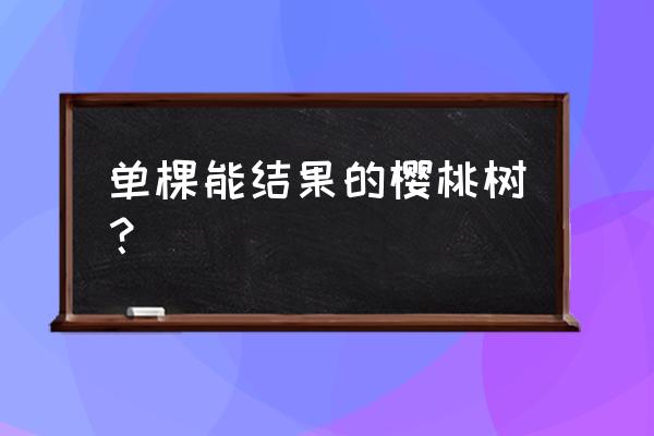 大樱桃单花芽能结几个果 单棵能结果的樱桃树？