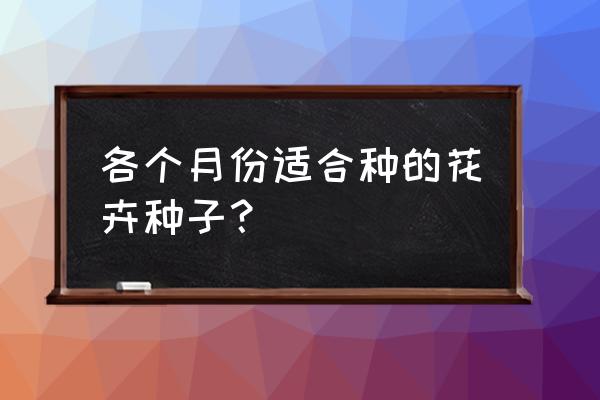 五色菊种子的催芽方法 各个月份适合种的花卉种子？