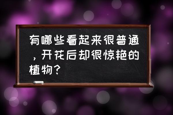 各种花简笔画大全 有哪些看起来很普通，开花后却很惊艳的植物？