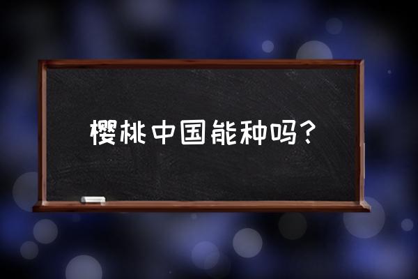 樱桃小丸子黏土制作 樱桃中国能种吗？